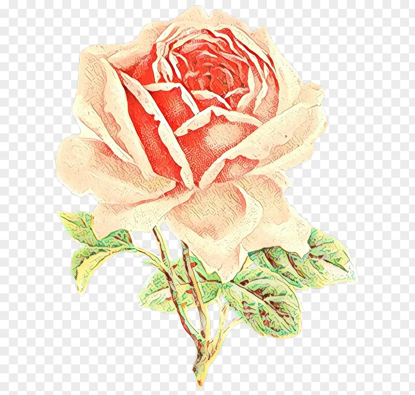 China Rose Watercolor Paint Flower Art PNG