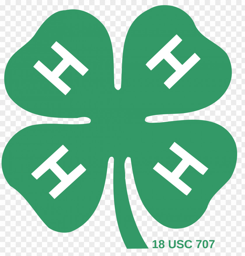 Clover 4-H Organization Cooperative State Research, Education, And Extension Service United States Youth PNG