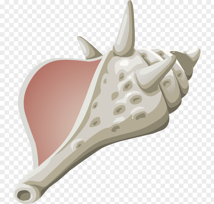 Conch Cliparts Lord Of The Flies Literature Motif Theme Novel PNG