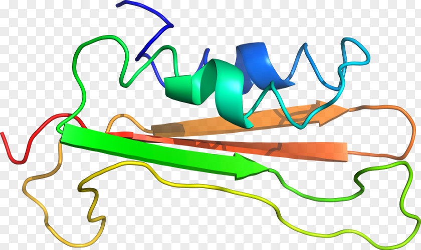 Esterase Clip Art Product Design Line Point PNG