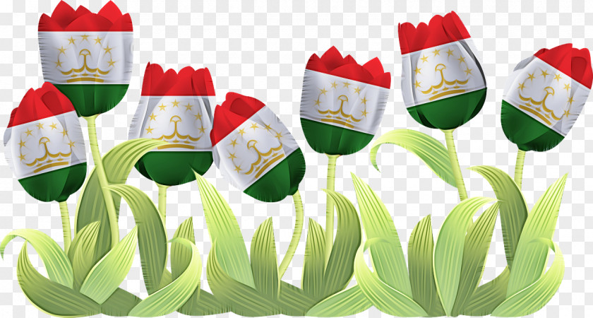 Flower Tulip Plants Biology Science PNG