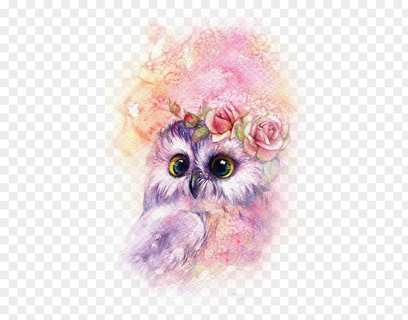 Owl Watercolor Painting Drawing Art PNG painting Art, owl clipart PNG