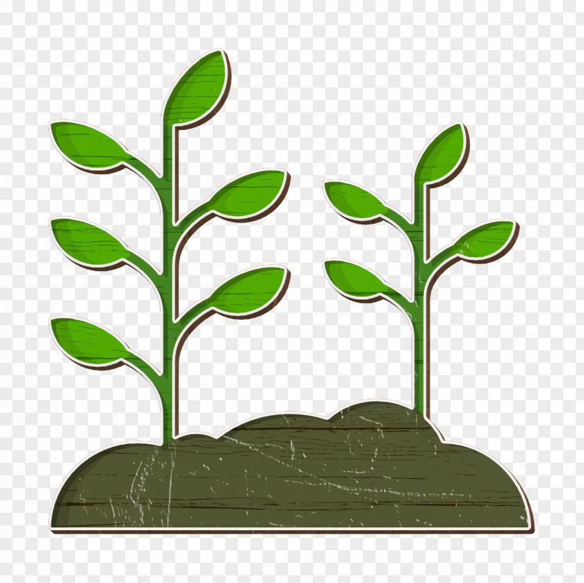 Plant Icon Spring Nature PNG