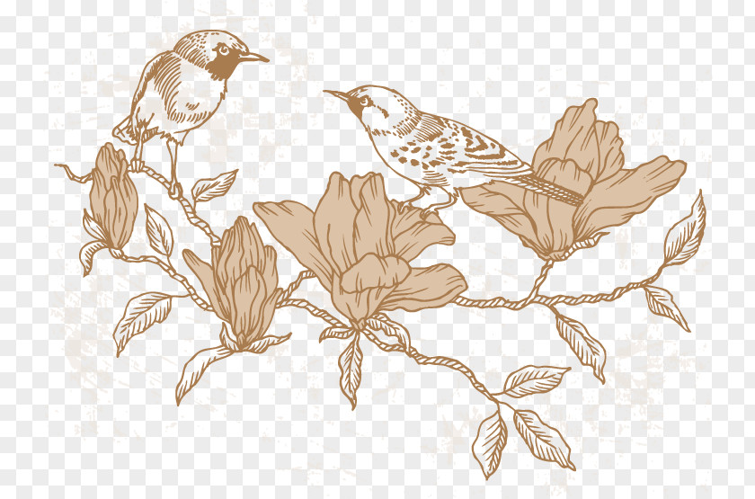 Vector Flowers And Birds PNG