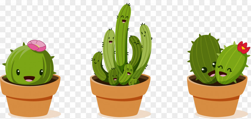 Vector Potted Cactus Cactaceae Drawing Clip Art PNG