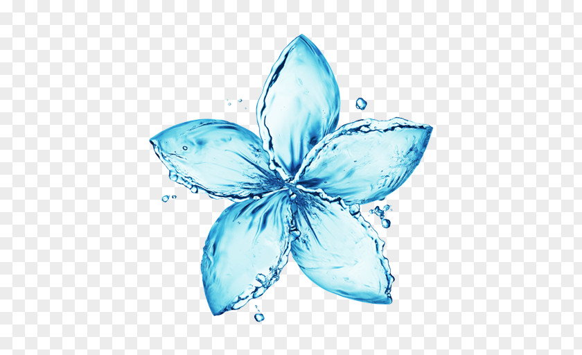Water Stock Photography Flower Drop PNG