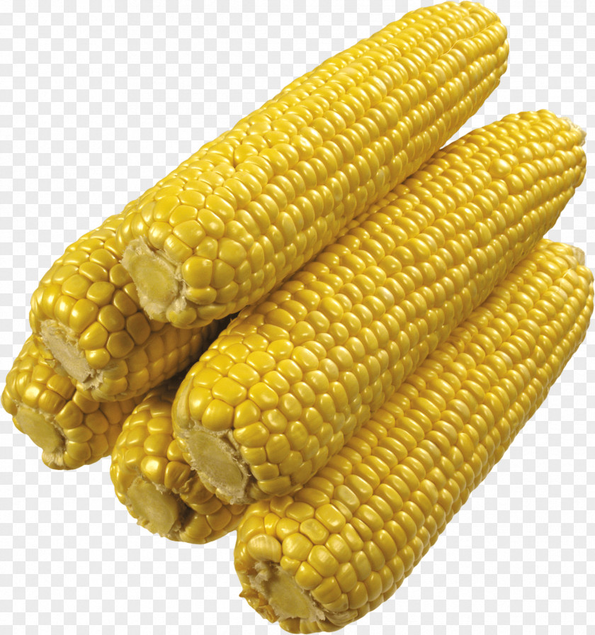 Corn Image On The Cob Maize PNG