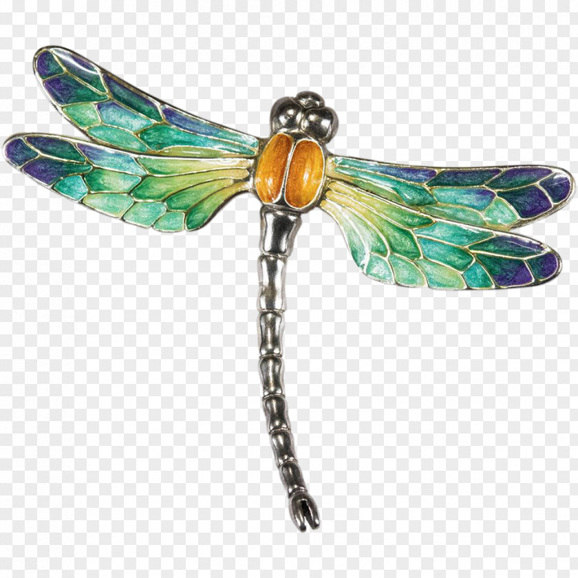 Dragonfly Clip Art Image PNG