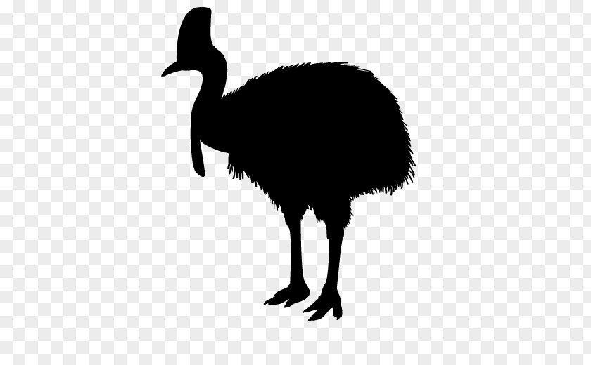 Emu Common Ostrich Clip Art Fauna Silhouette PNG