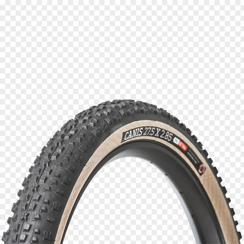 Erythronium Denscanis Tread Bicycle Tires Rim Maxxis Ardent Skinwall TB85913100 PNG