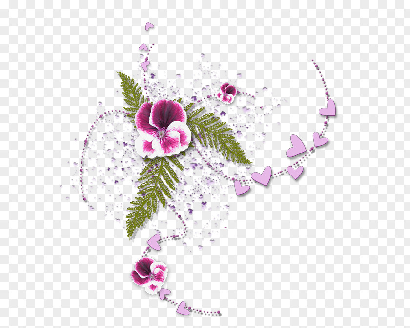 Flower Floral Design Flowering Plant Desktop Wallpaper PNG