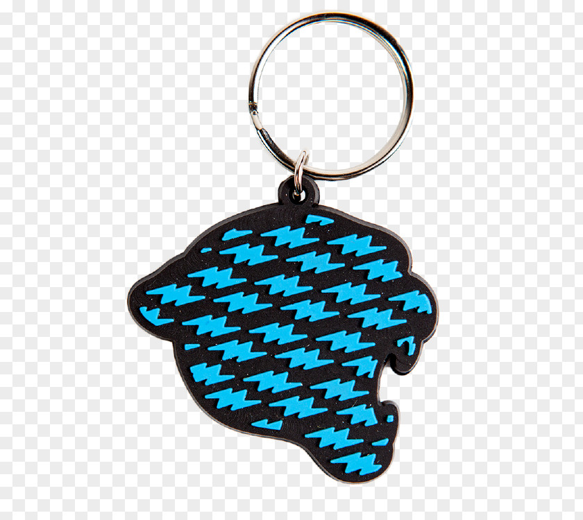 Keychain Shape Key Chains Pantone Plastic Manufacturing Metal PNG