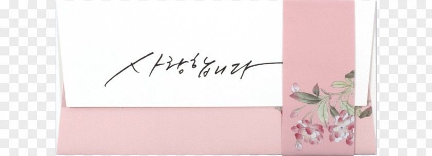 Love Envelope Paper Pink M RTV Brand Font PNG