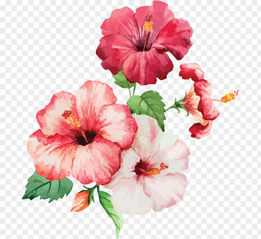 Our Mission Watercolor: Flowers Watercolour Watercolor Painting Drawing PNG