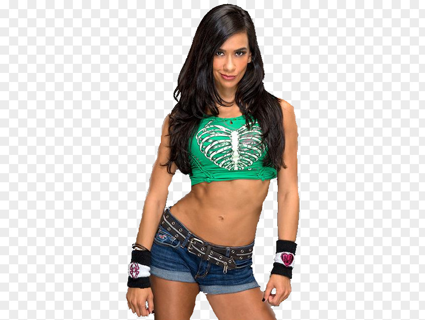 AJ Lee WWE Divas Championship SummerSlam (2014) Raw Women In PNG in WWE, others clipart PNG