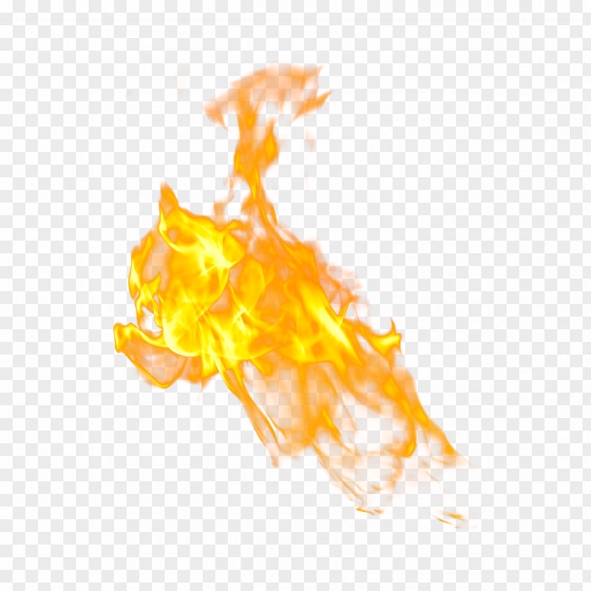 Flame Graphic Vector Graphics Image Design PNG