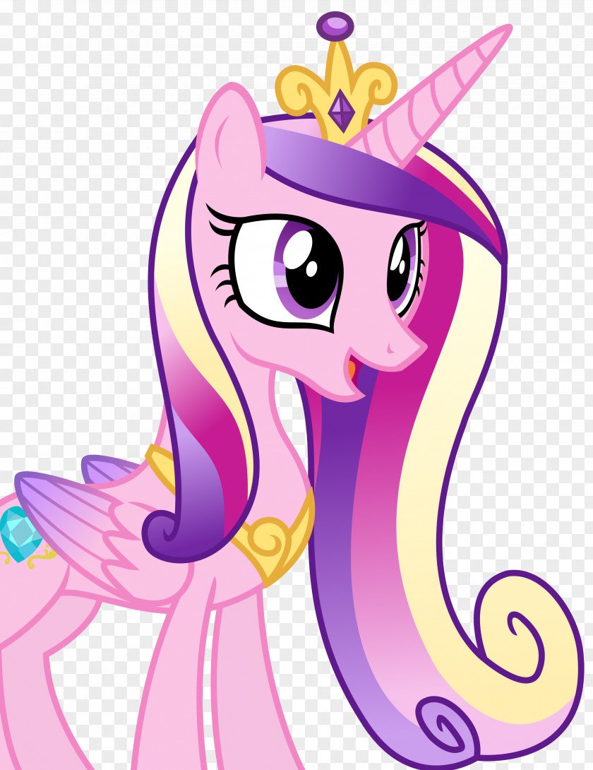 Prince Princess Cadance Pony Derpy Hooves Pinkie Pie Rainbow Dash PNG