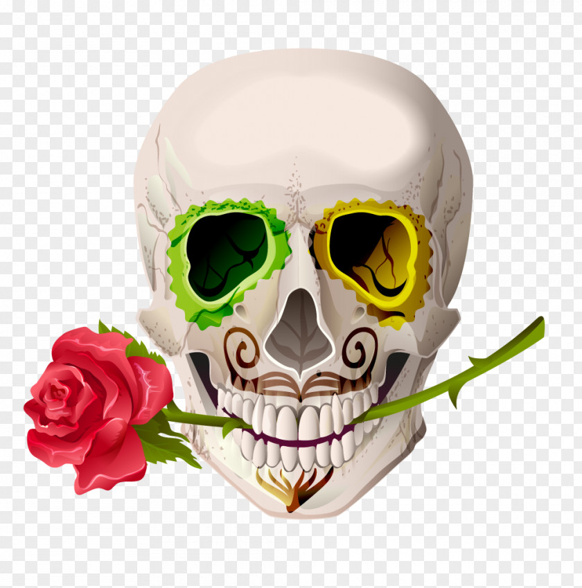 Vector Red Rose Skeleton Skull Head Cinco De Mayo Euclidean Illustration PNG