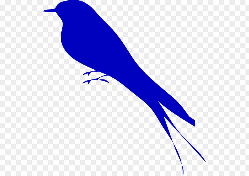 Bird Bluebirds Clip Art PNG