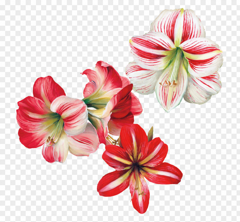 Flower Painting Decoupage Art PNG