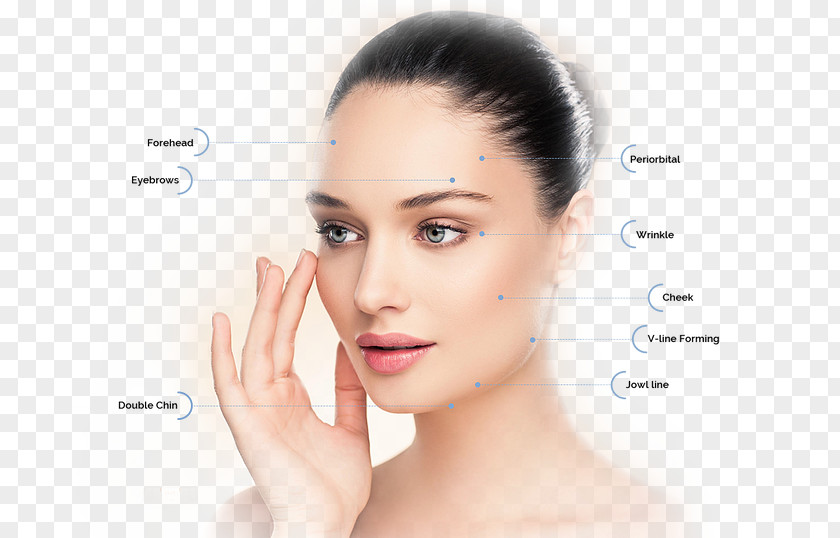 Health Skin Disease Cutaneous Condition Sebaceous Gland PNG