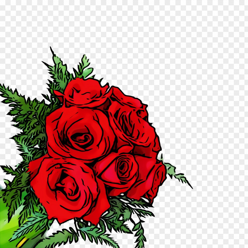 Rose Order Flowering Plant Garden Roses PNG