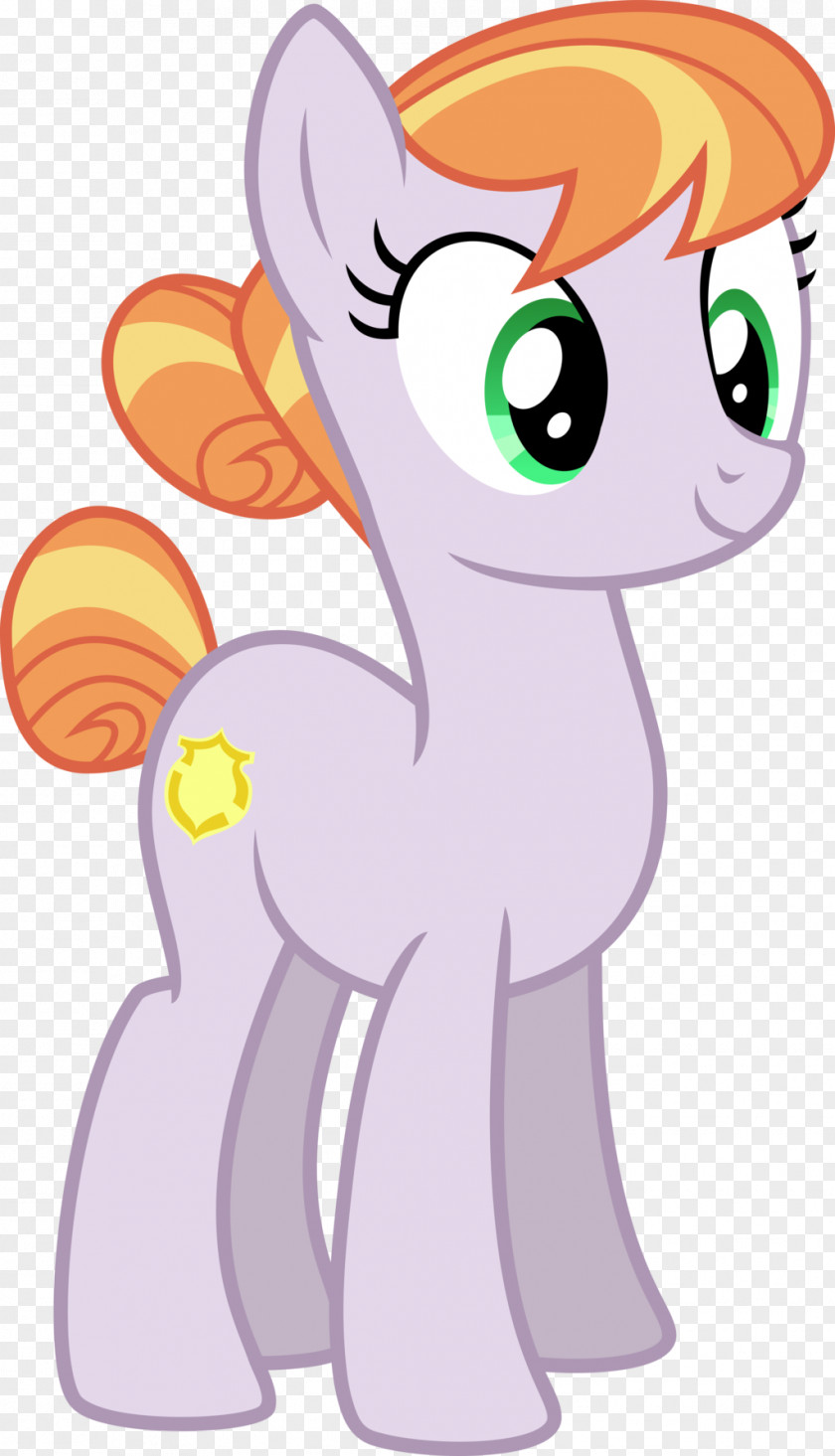 Vector Pony Twilight Sparkle Rainbow Dash Pinkie Pie Rarity PNG