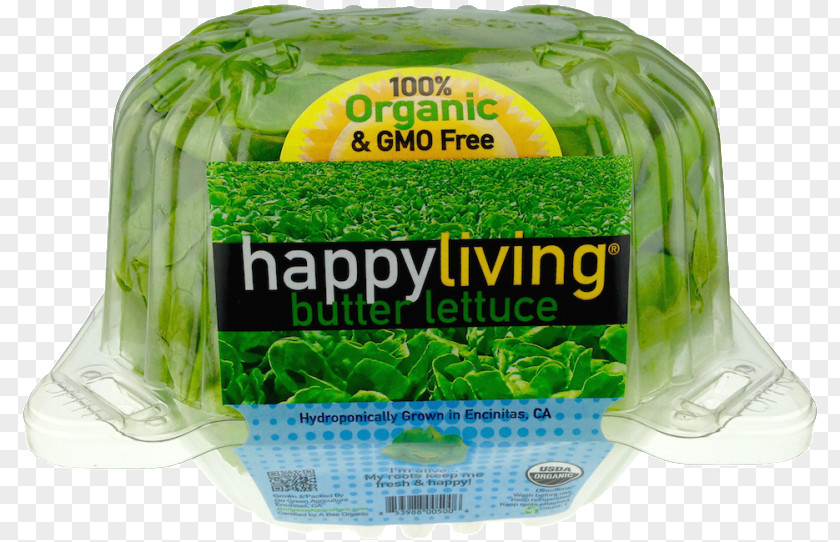 Butterhead Lettuce Organic Food Leaf Vegetable Milk Grocery Store PNG
