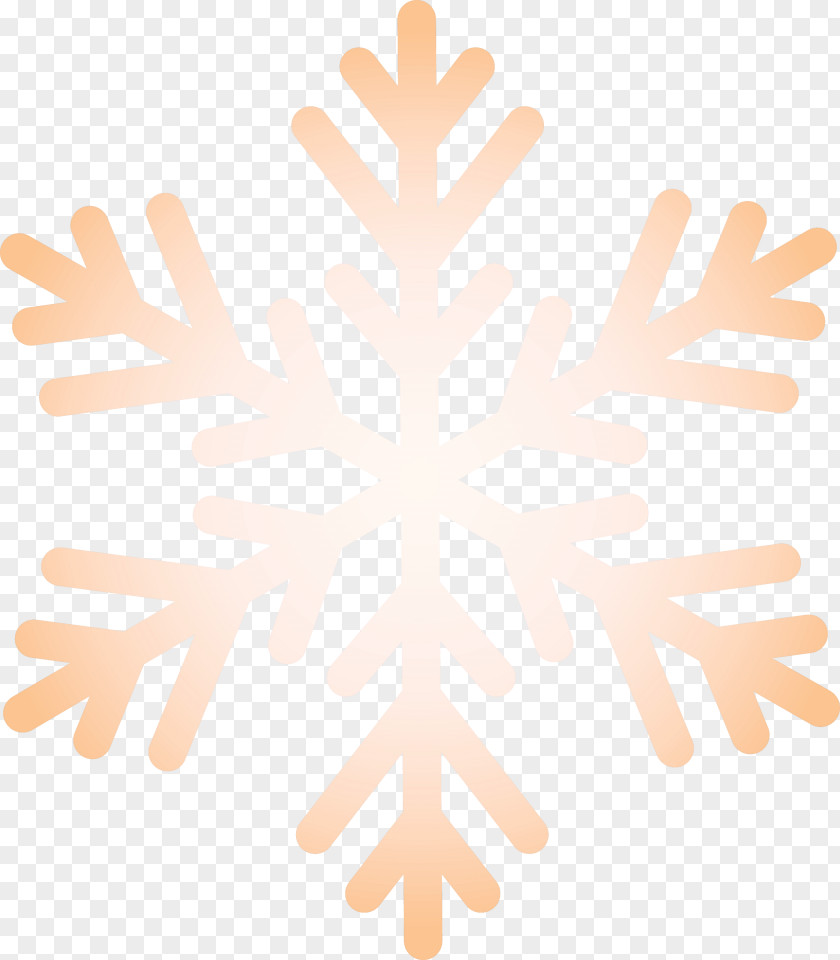 Christmas New Year Winter PNG