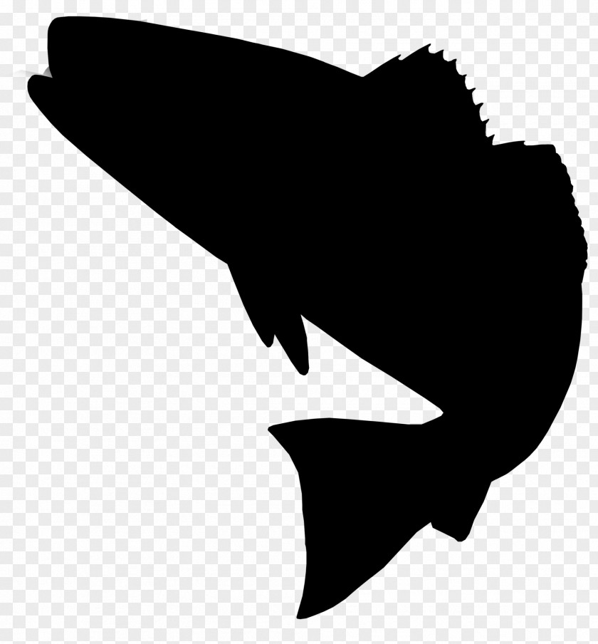 Clip Art Red Drum Fishing Silhouette Image PNG