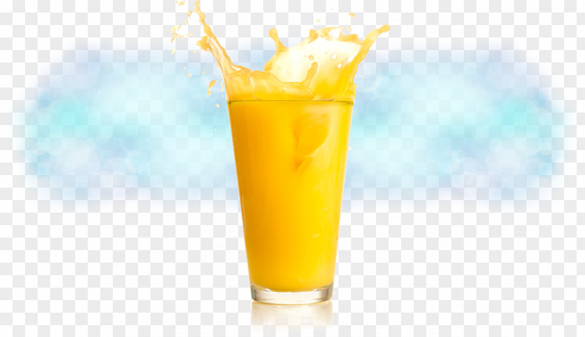 Cocktail Orange Drink Juice Harvey Wallbanger Fuzzy Navel Garnish PNG