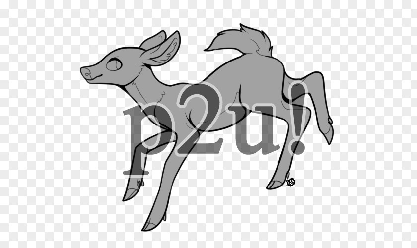 Deer Reindeer Mule Antelope Horn PNG