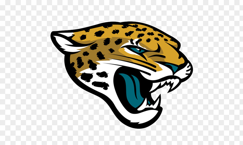Fantasy Football Jacksonville Jaguars New England Patriots Buffalo Bills Miami Dolphins 2015 NFL Season PNG
