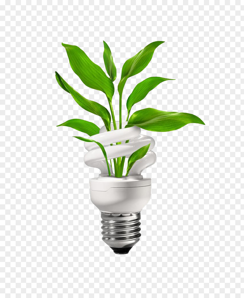 Green Energy-saving Bulbs Energy Conservation Engineering Clip Art PNG