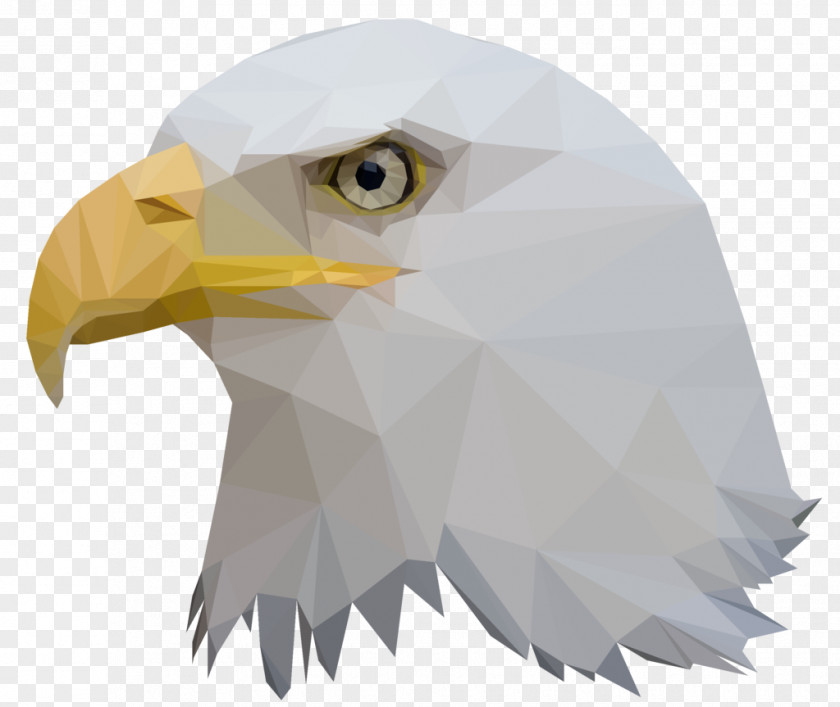 Low Poly Bald Eagle Bird Animal PNG