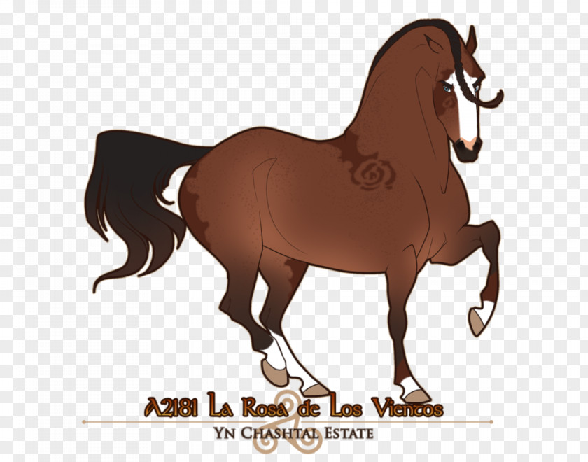 Mustang Mare Pony Stallion Bridle PNG