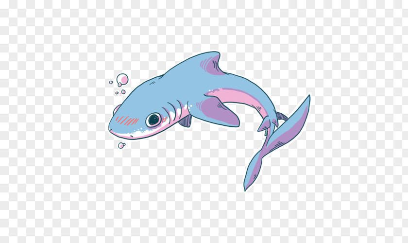 Shark Baby Clip Art Image Whale PNG