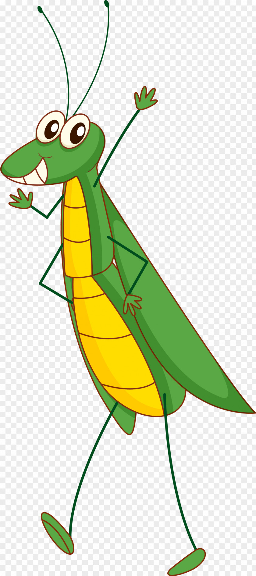 Cartoon Green Grasshopper Insect Clip Art PNG