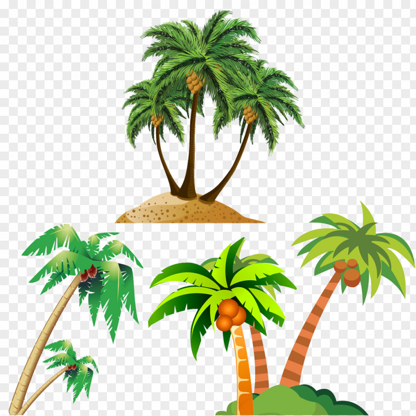 Coconut Tree Cartoon Arecaceae Royalty-free PNG