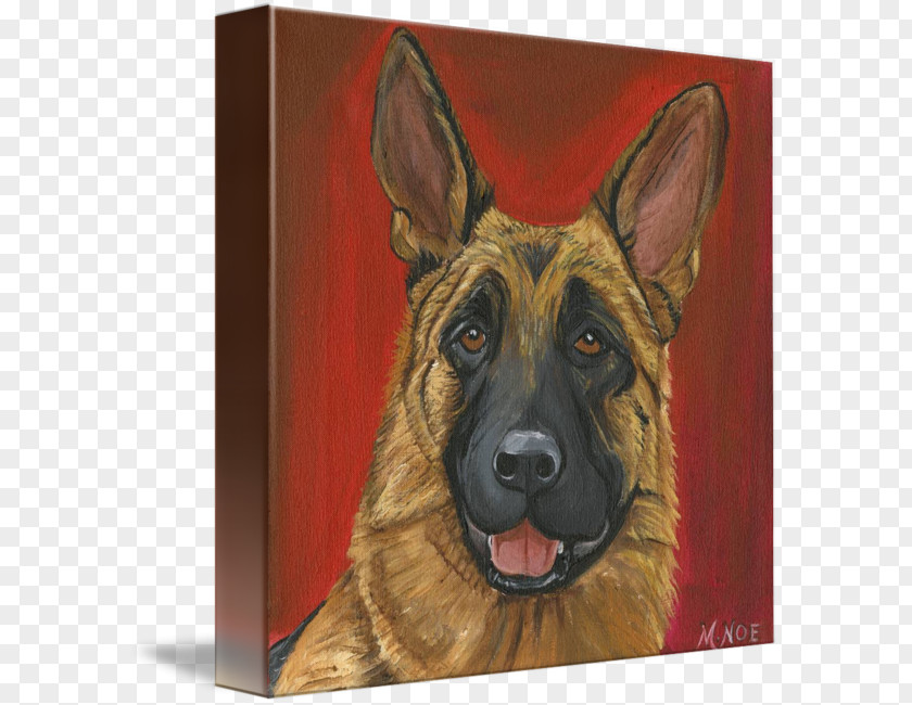 Painting Old German Shepherd Dog King Kunming Wolfdog White PNG