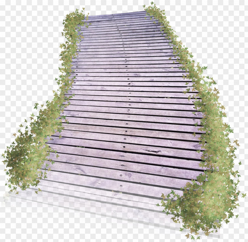 Pretty Creative Ladder Wood Road Icon PNG