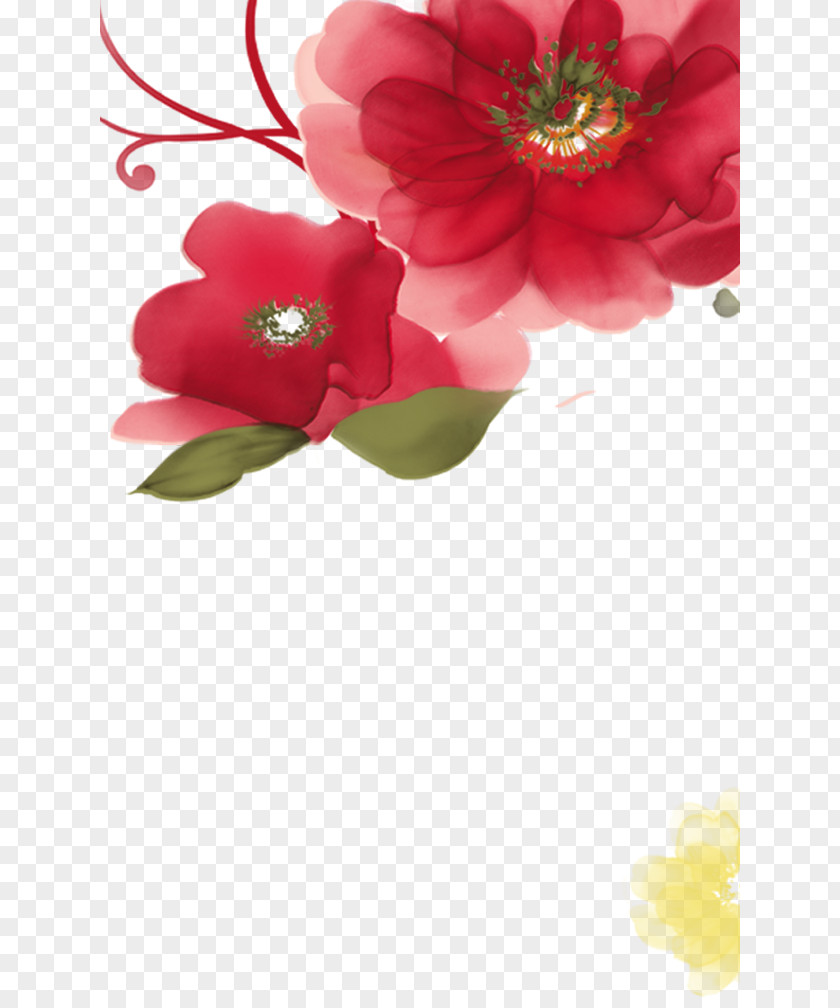 Section 3.8 Goddess Plant Flowers PNG