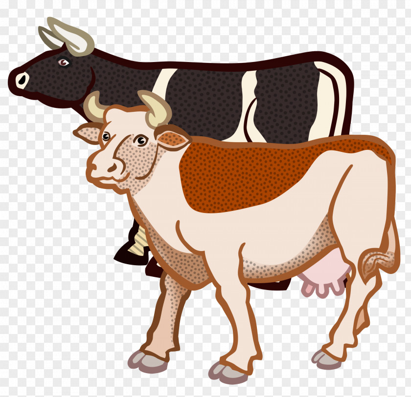 A Cow Jersey Cattle British White Highland Clip Art PNG