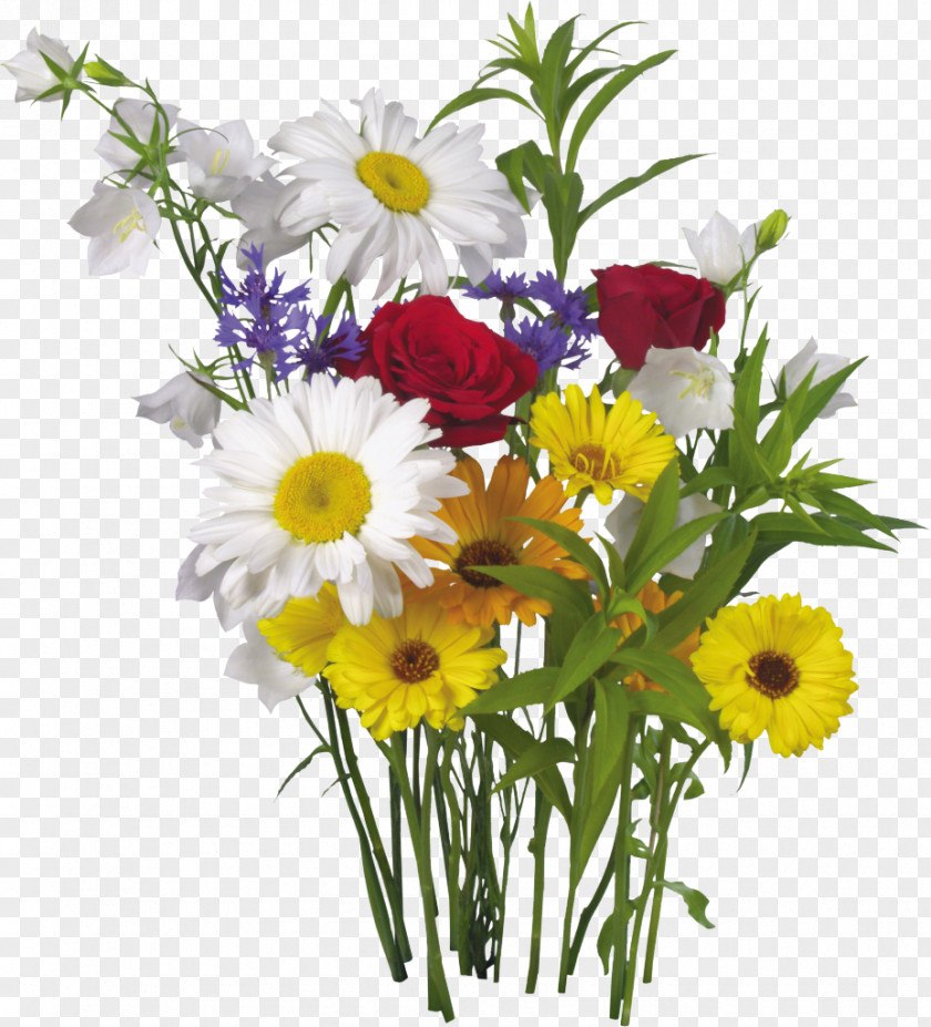 Camomile Flower Of The Fields Bouquet Composition Florale Florist PNG