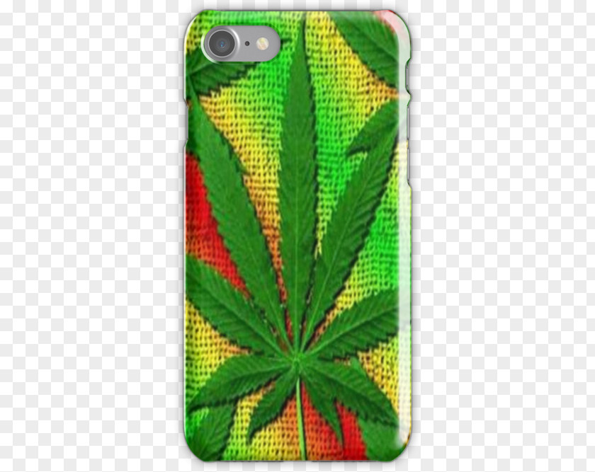 Cannabis Green Leaf PNG