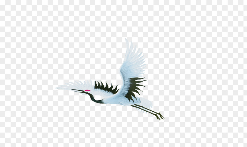 Crane China Bird Chinoiserie PNG