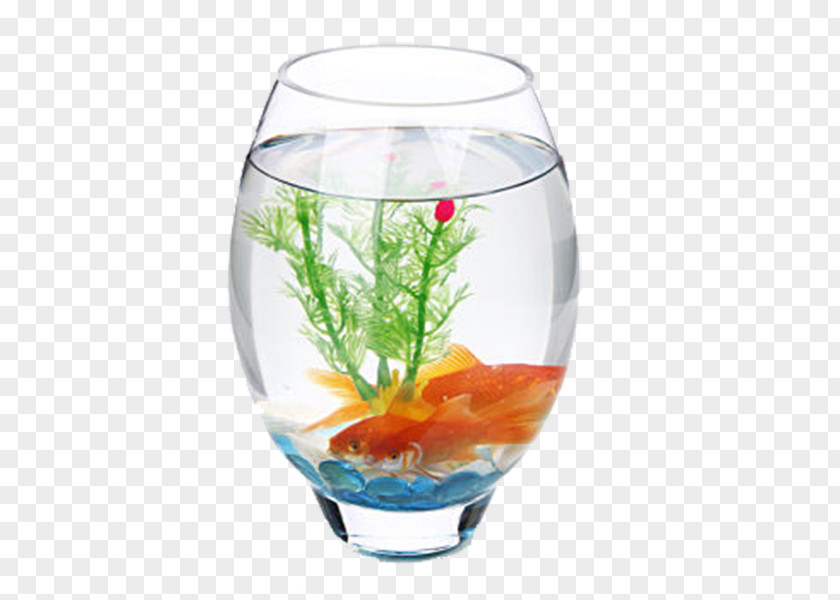 Decorative Patterns In Plants And Fish Long Tank Aquarium Glass Arts PNG
