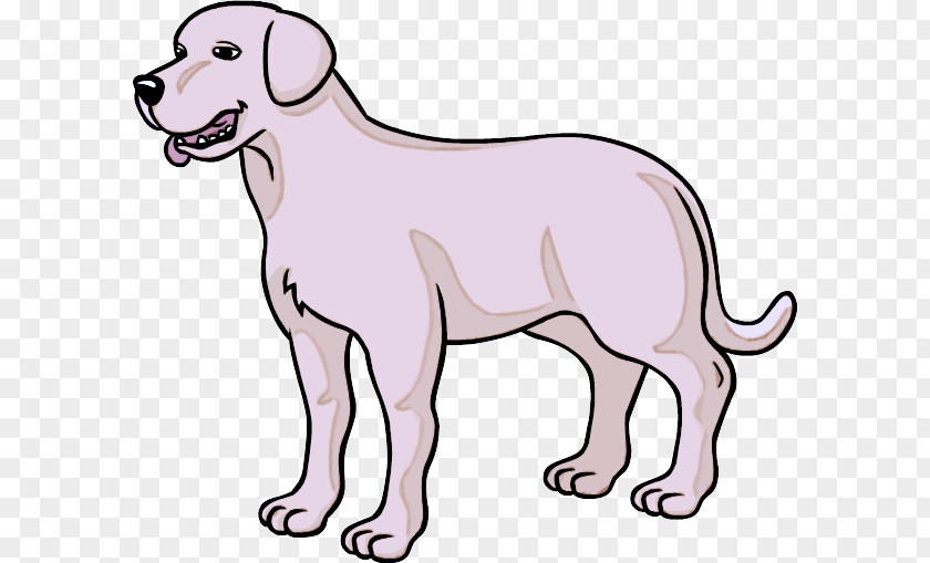 Dog Puppy Line Art Snout Paw PNG