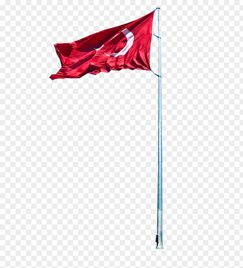 Flag Of Azerbaijan Georgia State Day PNG