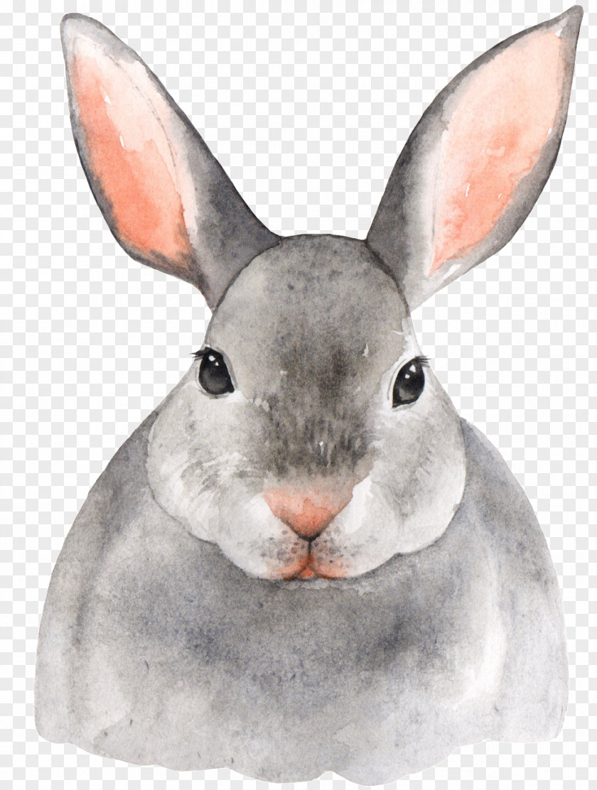 Snowshoe Hare Rat Watercolor Animal PNG